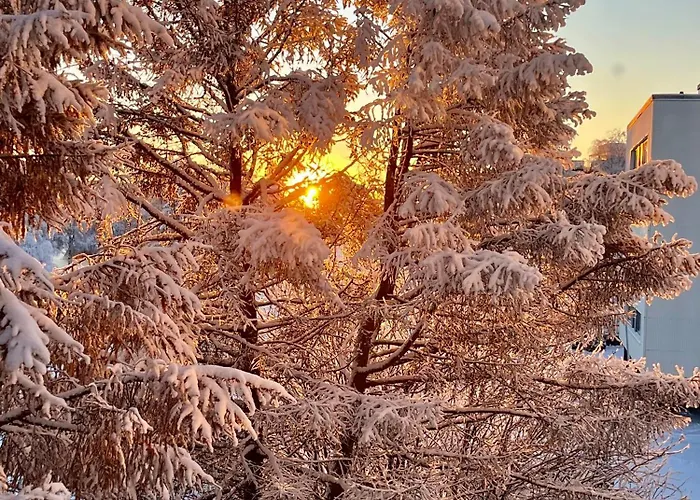 Location Aurora Flat! Rovaniemi